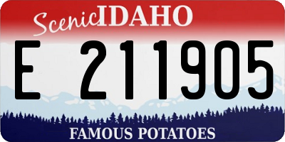 ID license plate E211905