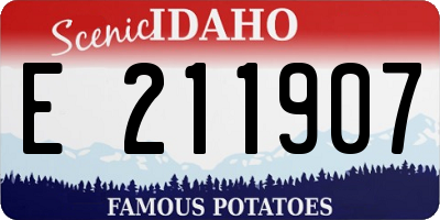 ID license plate E211907