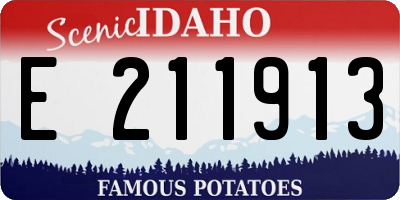 ID license plate E211913