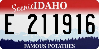 ID license plate E211916