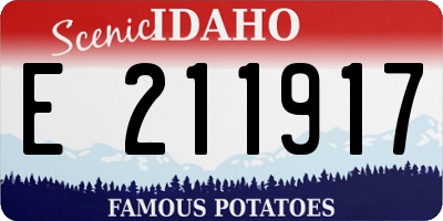 ID license plate E211917