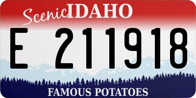 ID license plate E211918