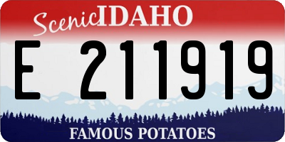 ID license plate E211919