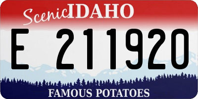 ID license plate E211920