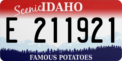 ID license plate E211921