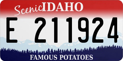 ID license plate E211924