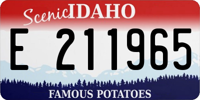 ID license plate E211965