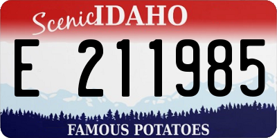 ID license plate E211985