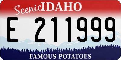 ID license plate E211999