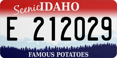 ID license plate E212029