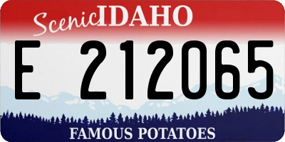 ID license plate E212065
