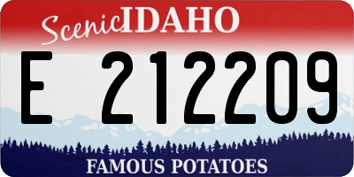 ID license plate E212209