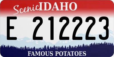 ID license plate E212223