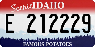 ID license plate E212229