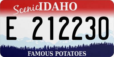 ID license plate E212230