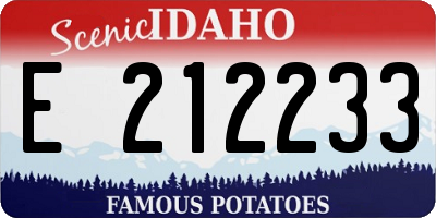 ID license plate E212233