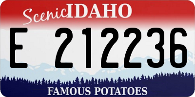 ID license plate E212236