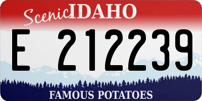 ID license plate E212239