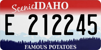 ID license plate E212245