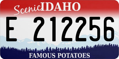 ID license plate E212256