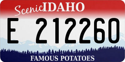 ID license plate E212260