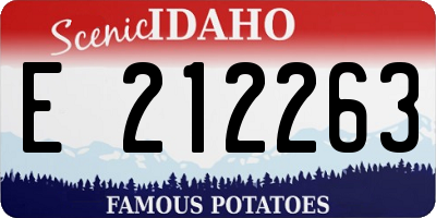 ID license plate E212263