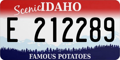 ID license plate E212289