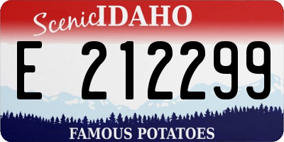 ID license plate E212299