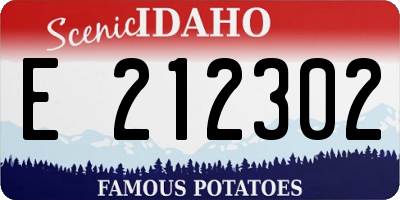 ID license plate E212302