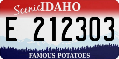 ID license plate E212303