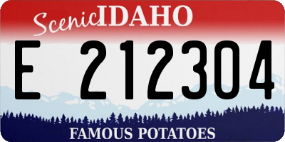 ID license plate E212304
