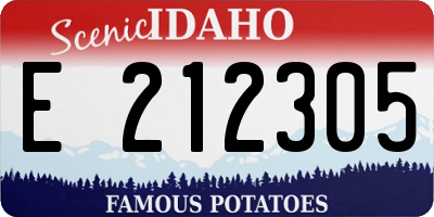 ID license plate E212305
