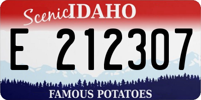 ID license plate E212307