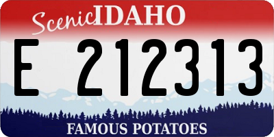 ID license plate E212313