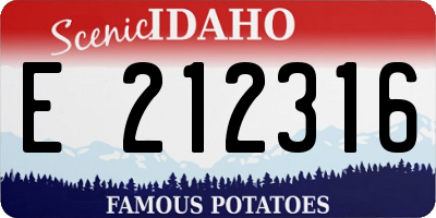 ID license plate E212316