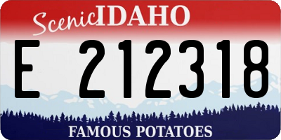 ID license plate E212318