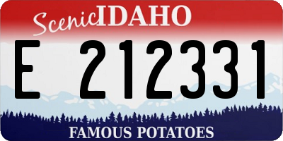ID license plate E212331