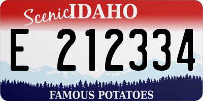 ID license plate E212334