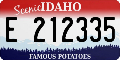 ID license plate E212335