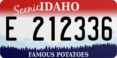 ID license plate E212336