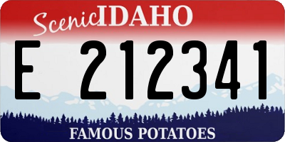 ID license plate E212341