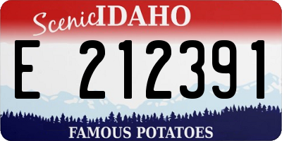 ID license plate E212391