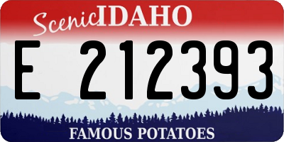 ID license plate E212393