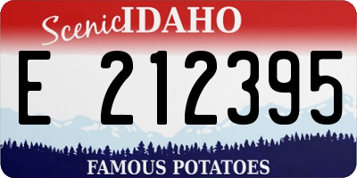 ID license plate E212395
