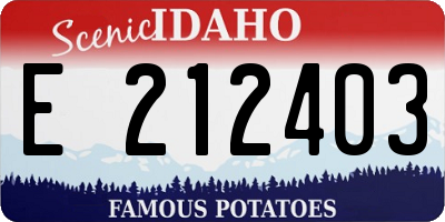 ID license plate E212403