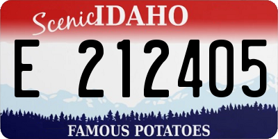 ID license plate E212405