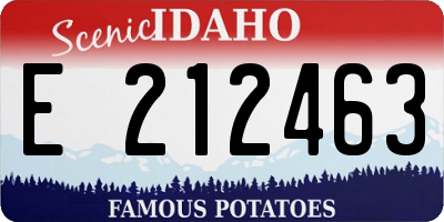 ID license plate E212463