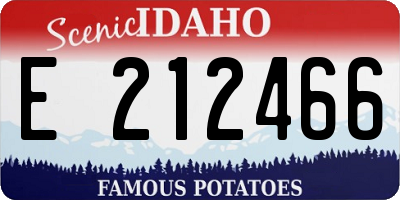 ID license plate E212466
