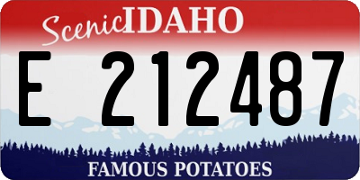 ID license plate E212487