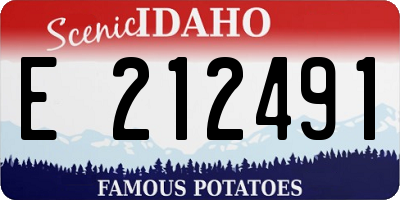 ID license plate E212491
